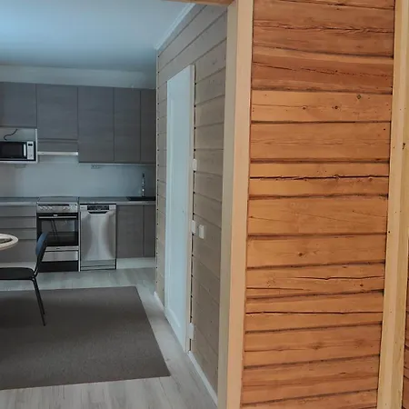 Skyra Retreat Rovaniemi