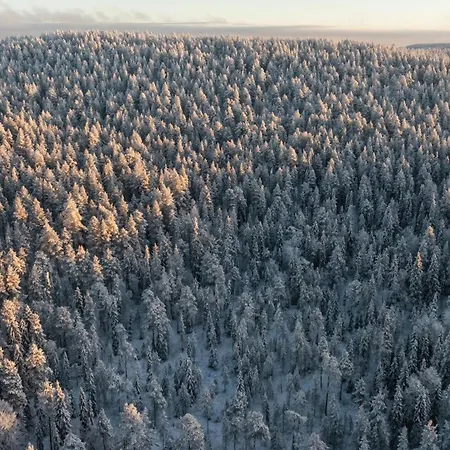 Skyra Retreat Daire Rovaniemi