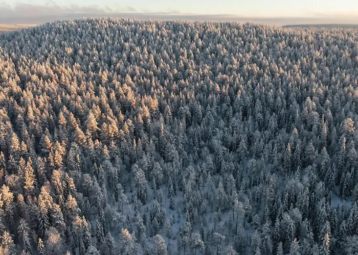 Skyra Retreat Lägenhet Rovaniemi